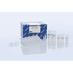 qiagen dna extraction kit manual