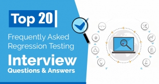 frequently asked manual testing interview questions