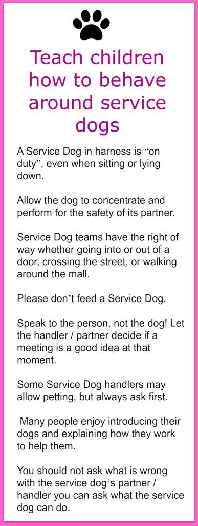 ptsd service dog training manual